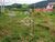Terreno, 120 m² - Foto 3