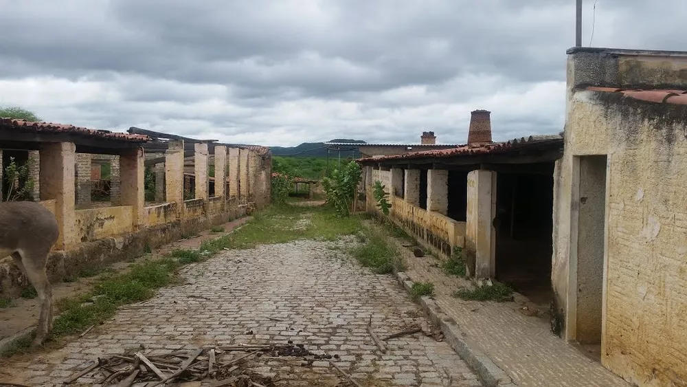 Terreno à venda - Foto 4