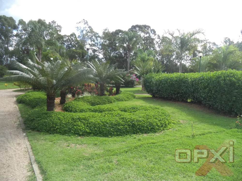 Terreno, 300 m² - Foto 5
