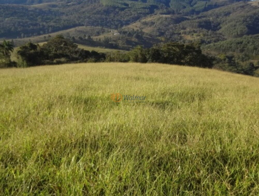 Sítio, 3 quartos, 31 m² - Foto 3