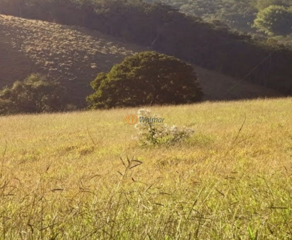 Sítio, 3 quartos, 31 m² - Foto 4