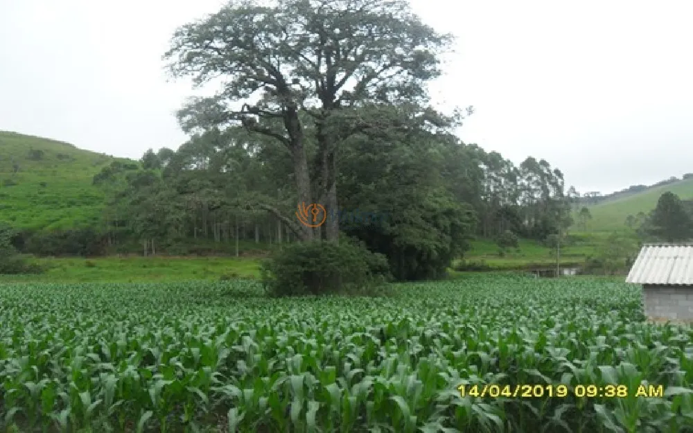 Fazenda, 214 m² - Foto 15