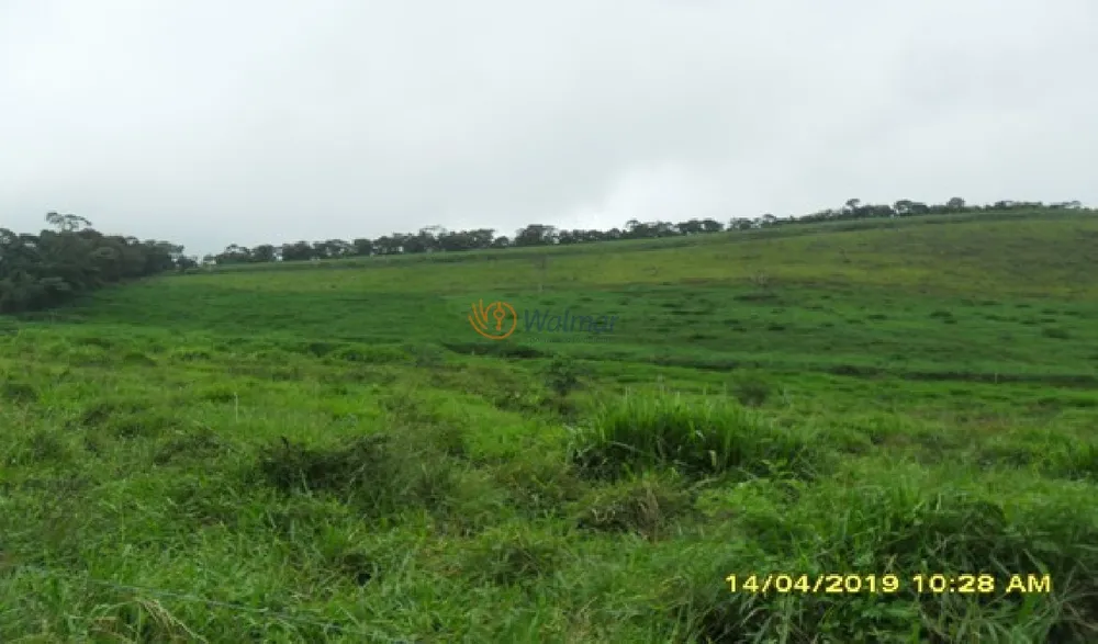 Fazenda, 214 m² - Foto 10