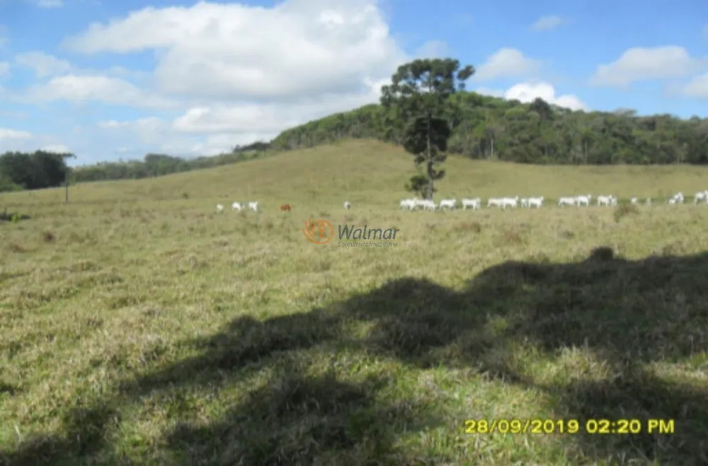 Fazenda, 500 m² - Foto 4