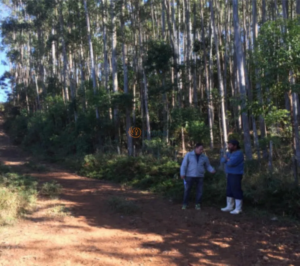Fazenda, 500 m² - Foto 2