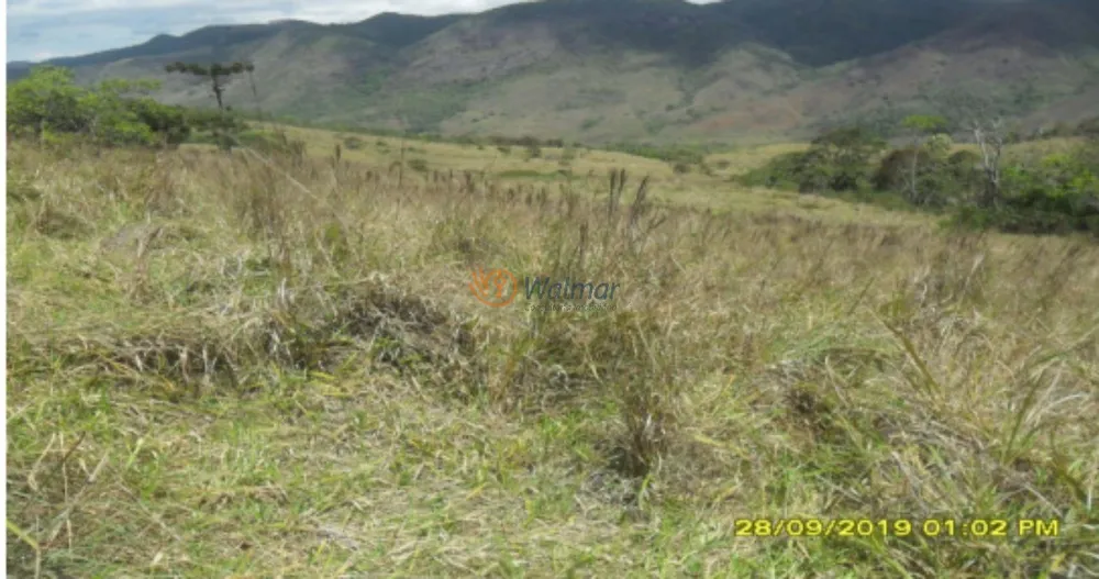 Fazenda, 500 m² - Foto 8