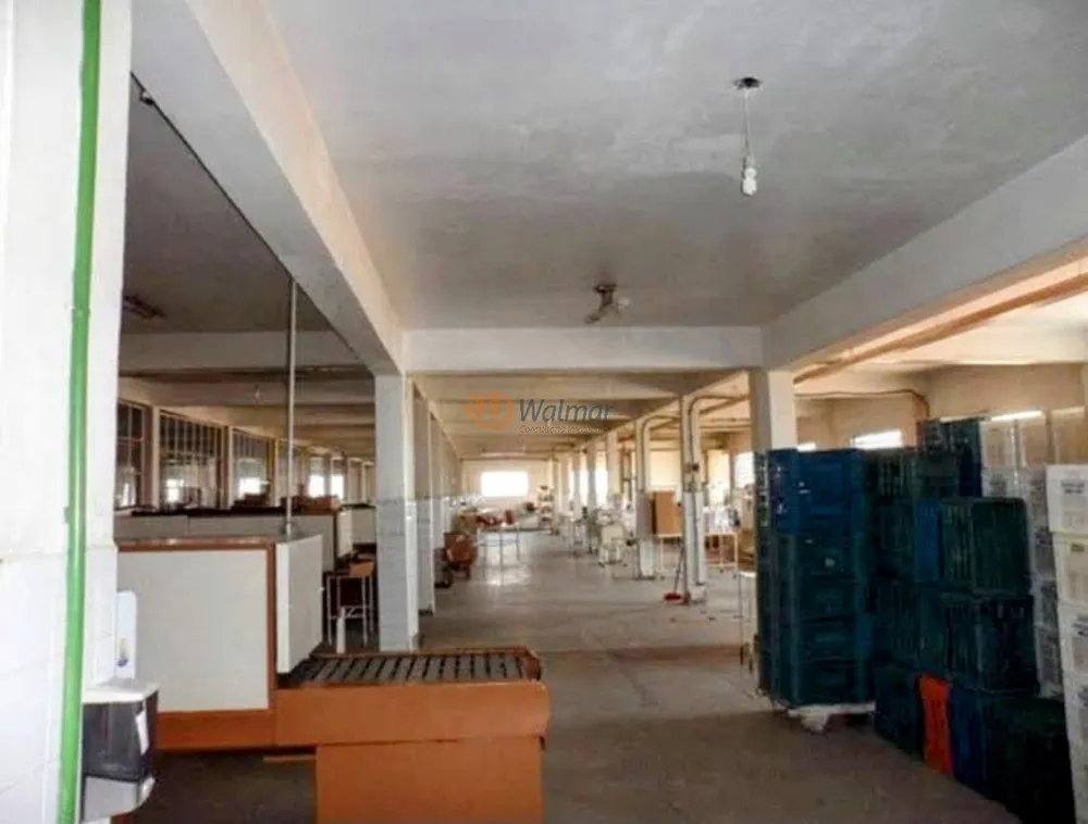 Depósito-Galpão, 5950 m² - Foto 4