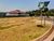 Terreno, 2250 m² - Foto 2