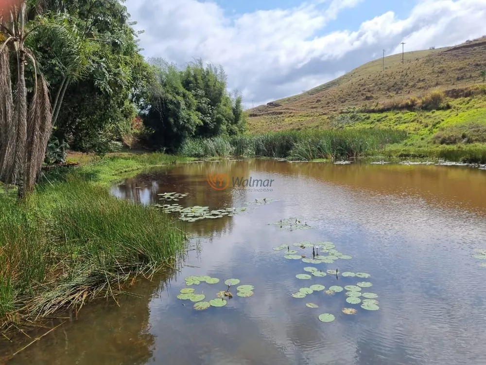 Fazenda-Sítio-Chácara, 370 m² - Foto 4
