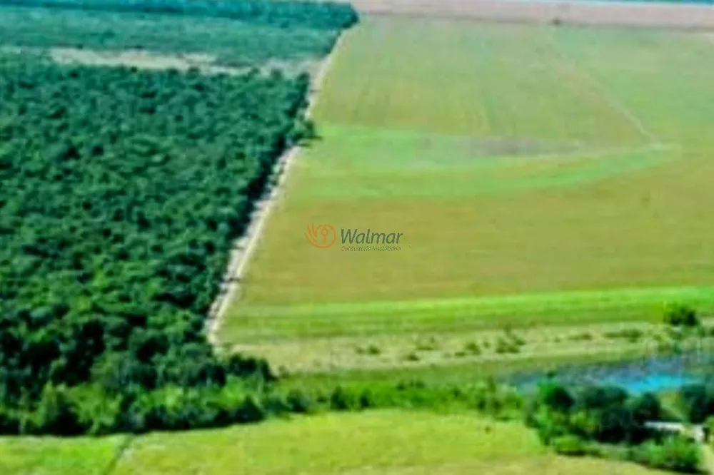 Fazenda, 200 m² - Foto 10