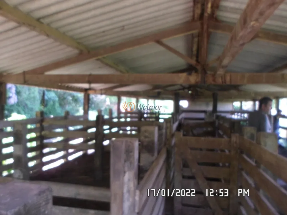 Fazenda, 4660 m² - Foto 10