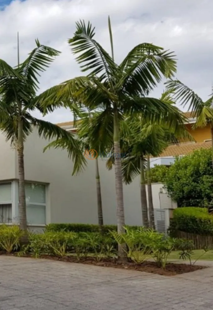 Casa, 5 quartos, 602 m² - Foto 17