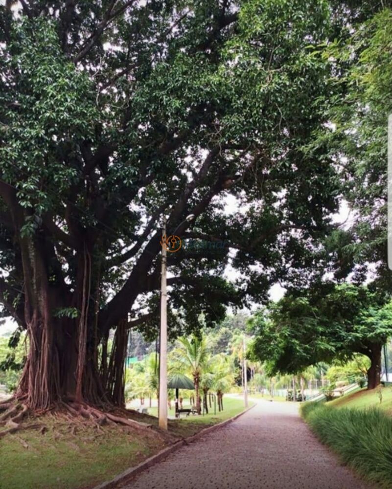 Casa à venda e aluguel com 3 quartos, 300m² - Foto 5