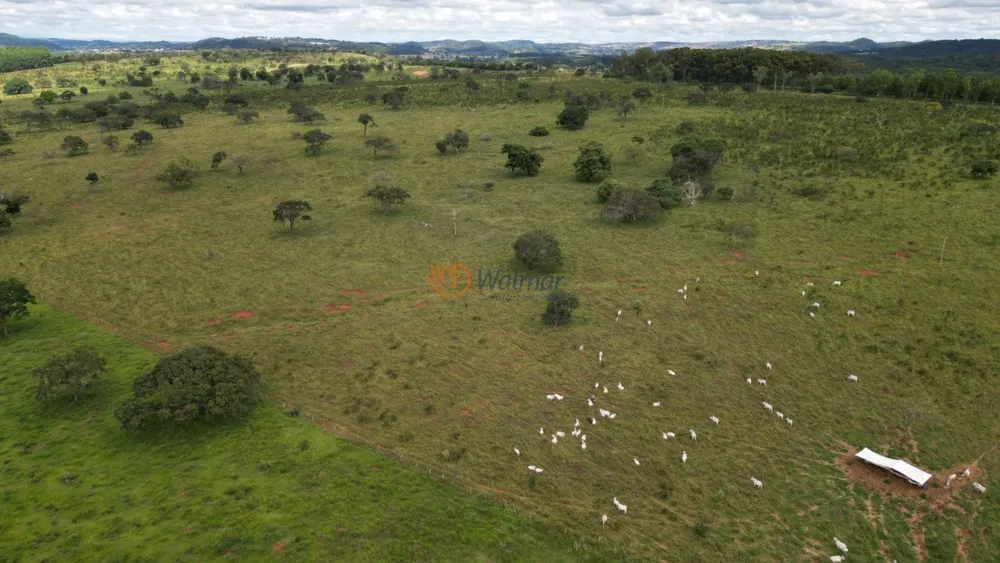 Fazenda, 1054 m² - Foto 7