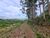 Fazenda, 540 m² - Foto 11