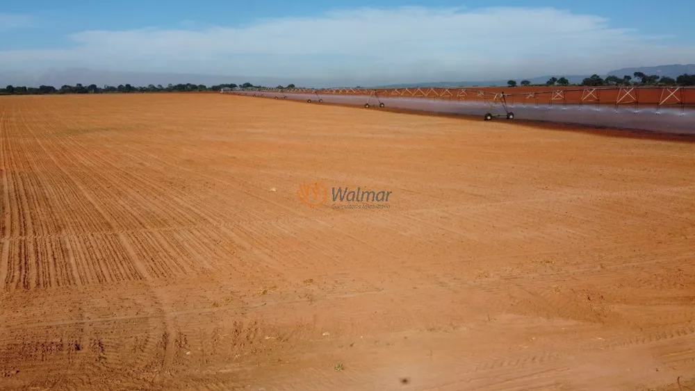 Fazenda à venda com 4 quartos, 1254m² - Foto 5