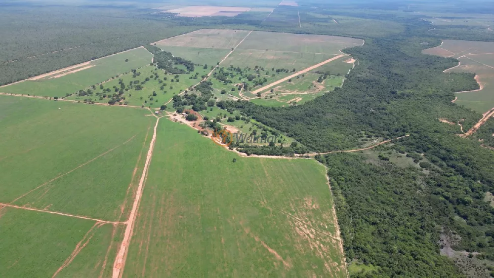 Fazenda à venda com 4 quartos, 500m² - Foto 6