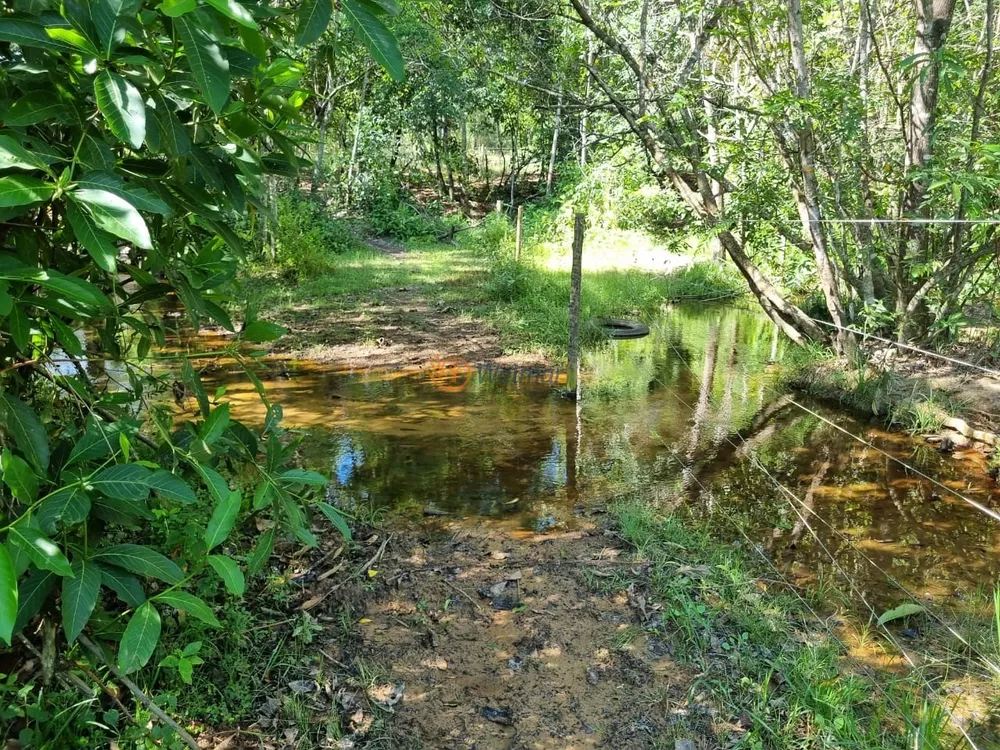 Fazenda à venda com 4 quartos, 500m² - Foto 2