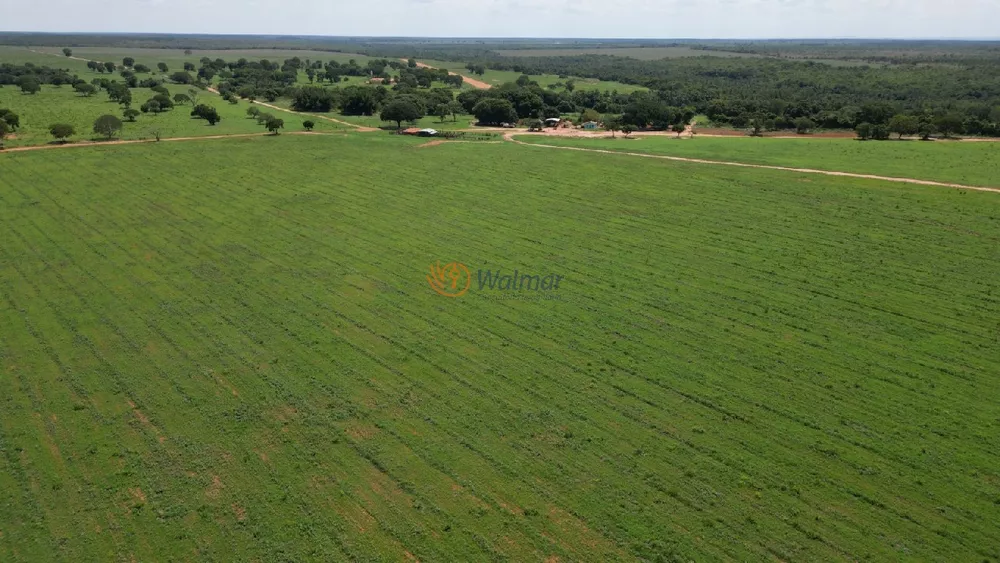 Fazenda à venda com 4 quartos, 500m² - Foto 5