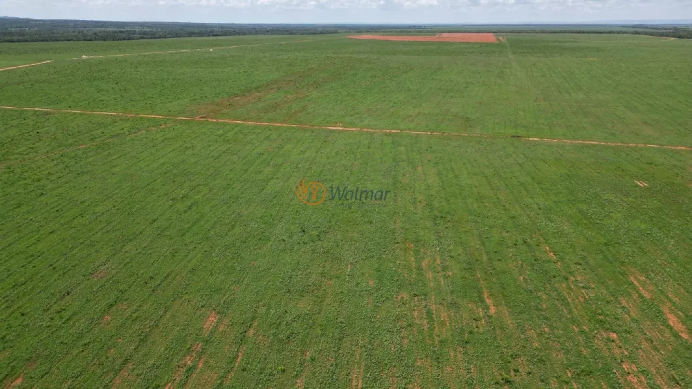 Fazenda à venda com 4 quartos, 500m² - Foto 4