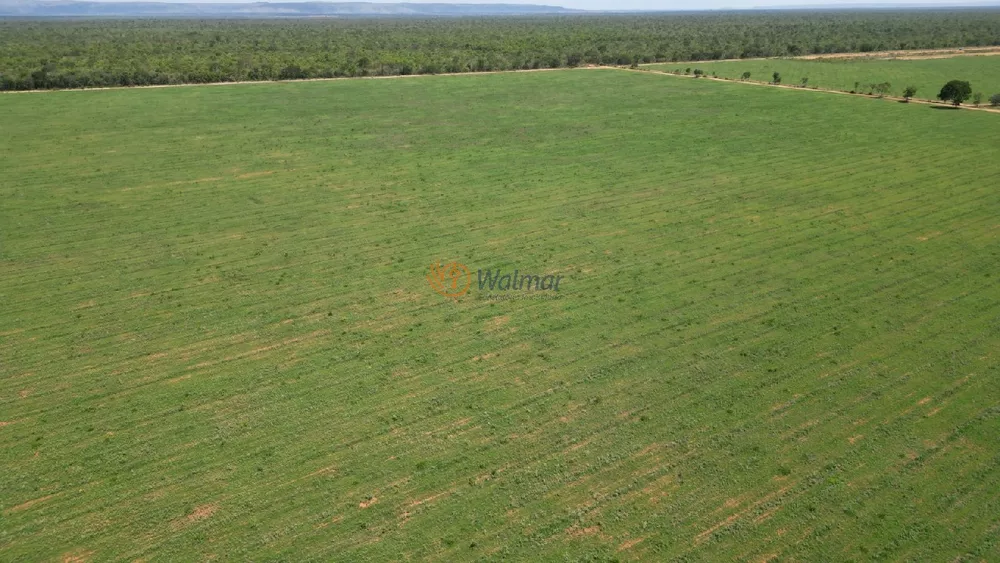 Fazenda à venda com 4 quartos, 500m² - Foto 12