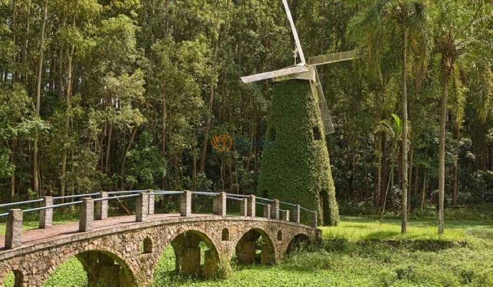 Casa, 4 quartos, 305 m² - Foto 23