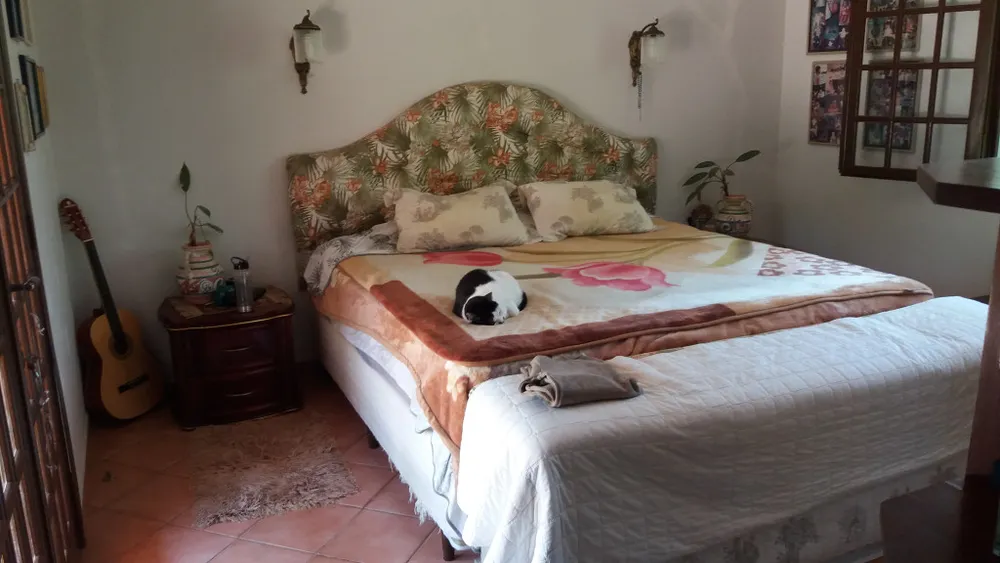 Casa, 5 quartos, 265 m² - Foto 6