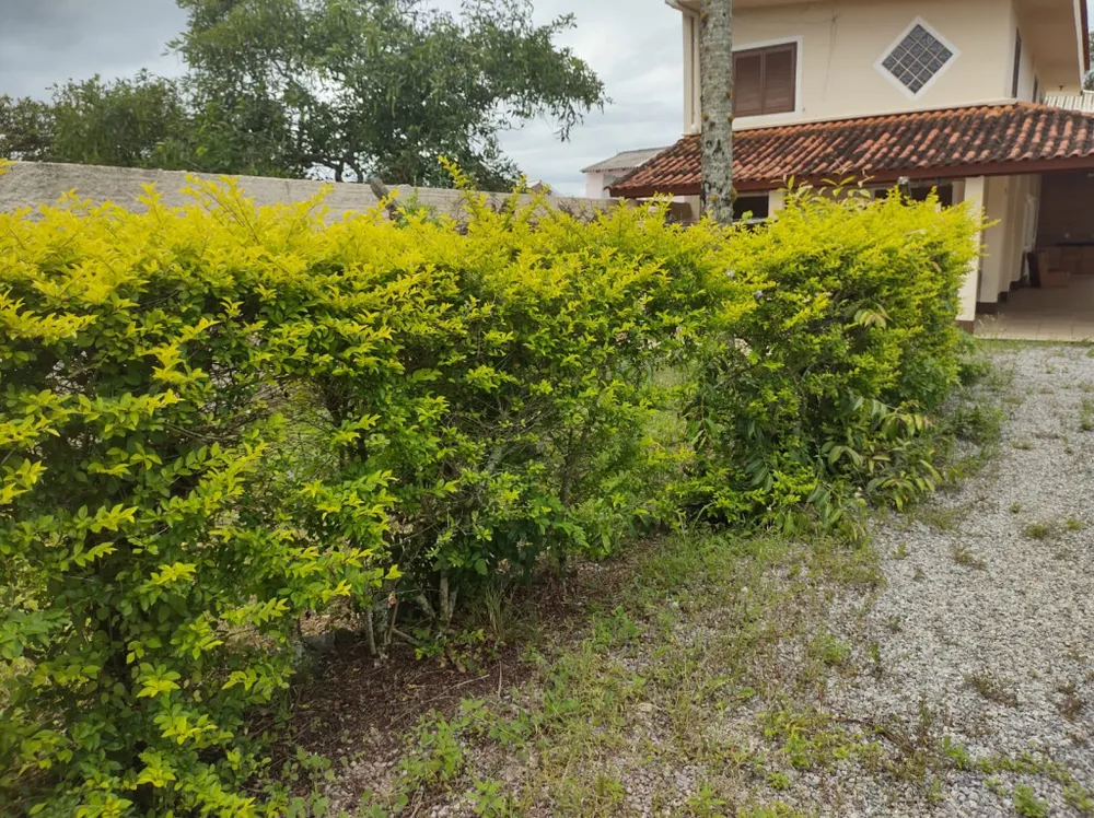 Casa, 4 quartos, 120 m² - Foto 1