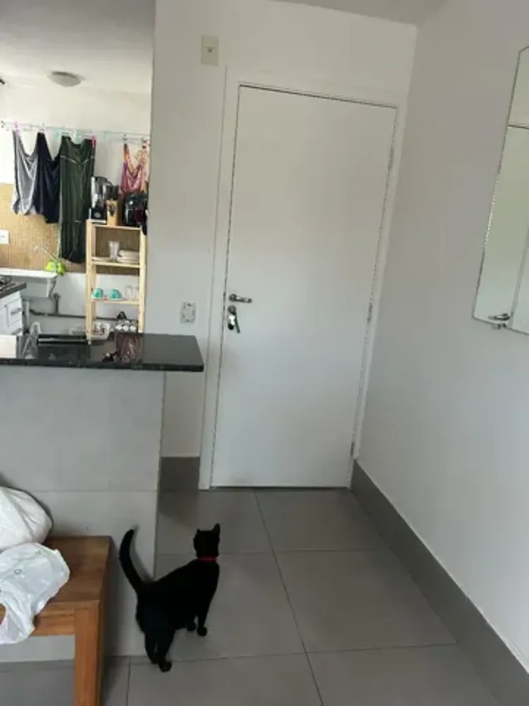 Apartamento, 2 quartos - Foto 8