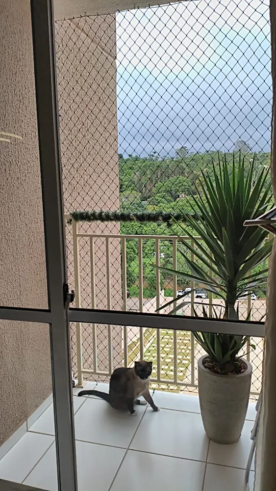 Apartamento, 2 quartos - Foto 7
