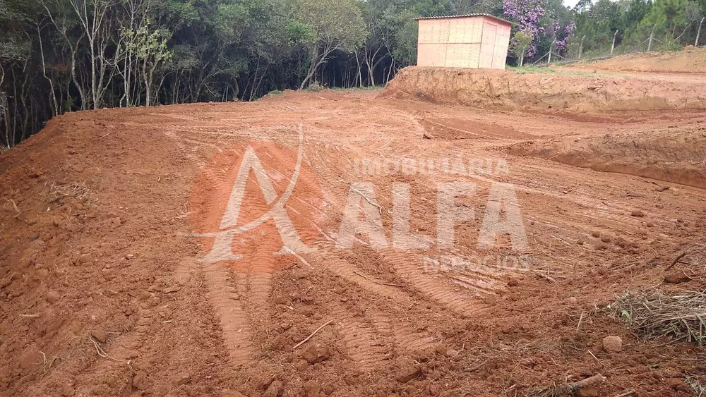 Terreno à venda com 1 quarto, 2500m² - Foto 4