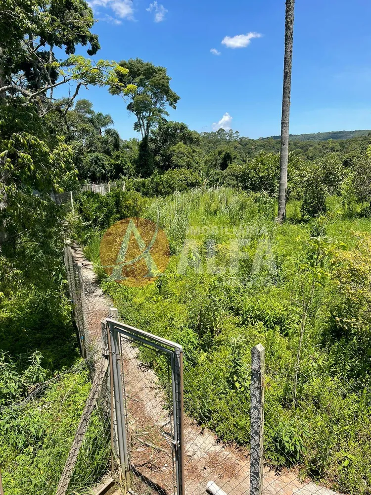 Chácara, 3 quartos, 8500 m² - Foto 7