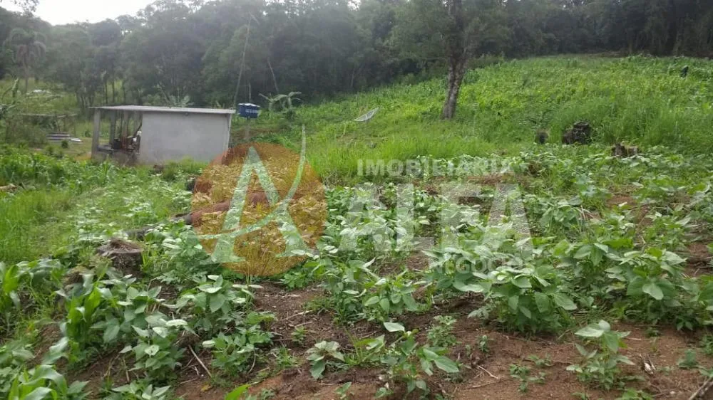 Terreno, 3 hectares - Foto 3