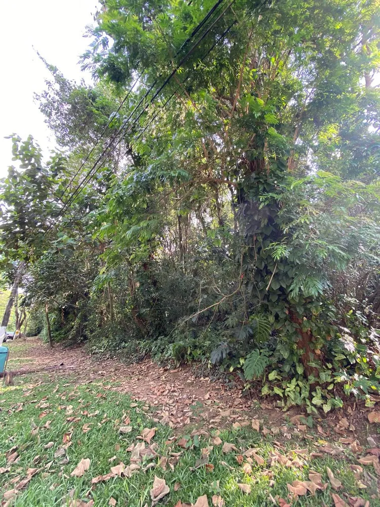 Terreno, 1040 m² - Foto 3