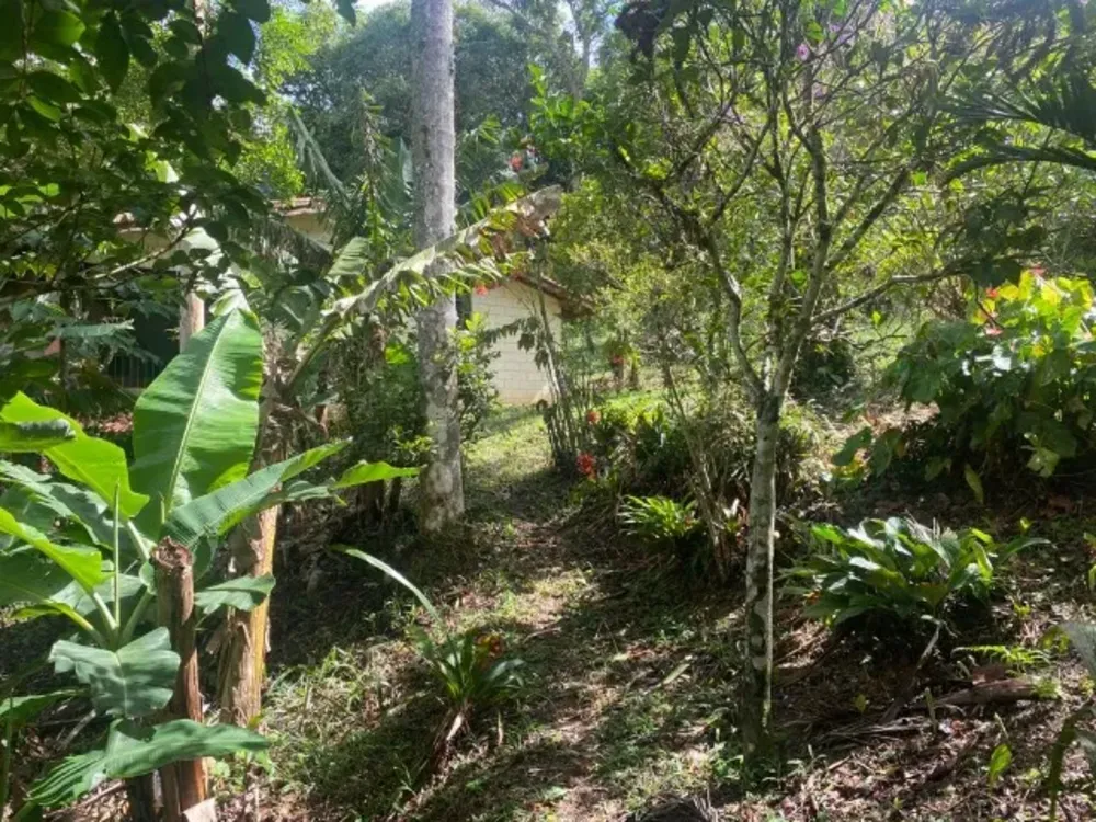 Chácara, 3 quartos, 3800 m² - Foto 12