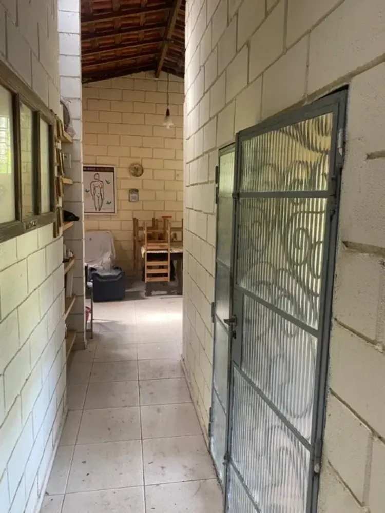 Chácara, 3 quartos, 3800 m² - Foto 3