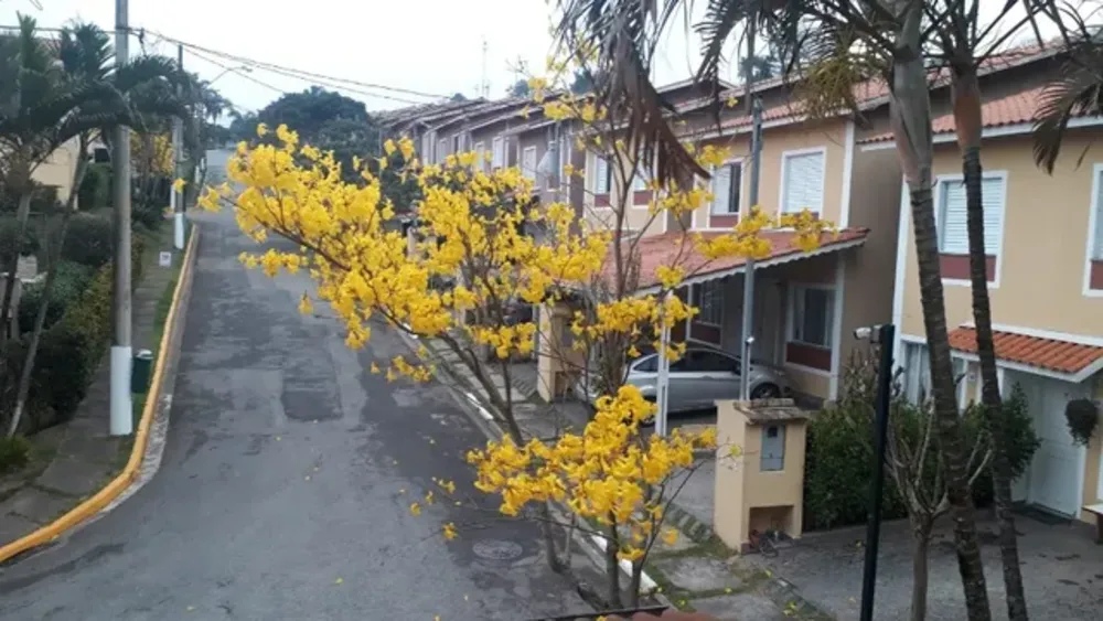 Casa, 2 quartos, 70 m² - Foto 1