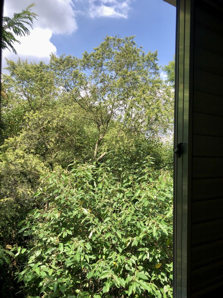 Apartamento para alugar com 2 quartos, 60m² - Foto 11