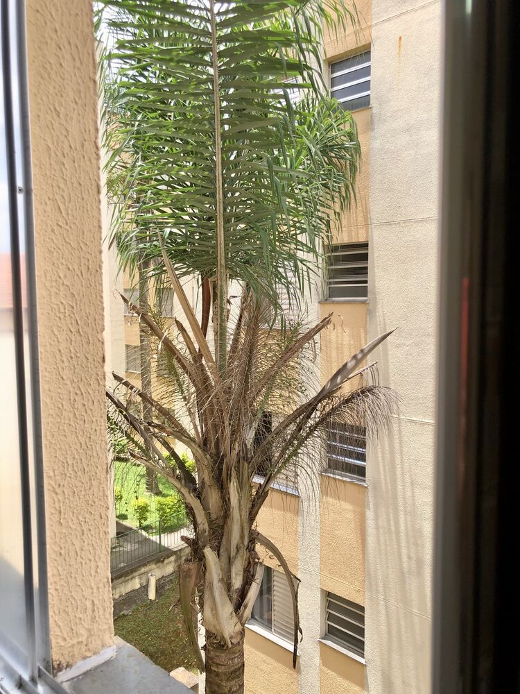 Apartamento para alugar com 2 quartos, 60m² - Foto 12