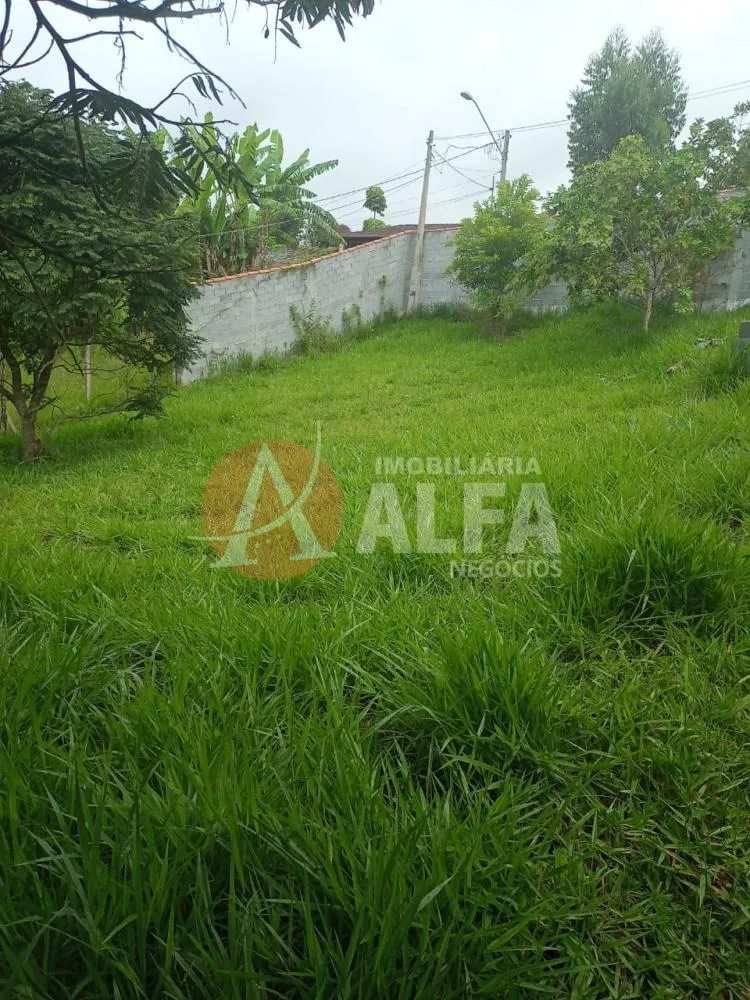 Chácara, 2 quartos, 1500 m² - Foto 12