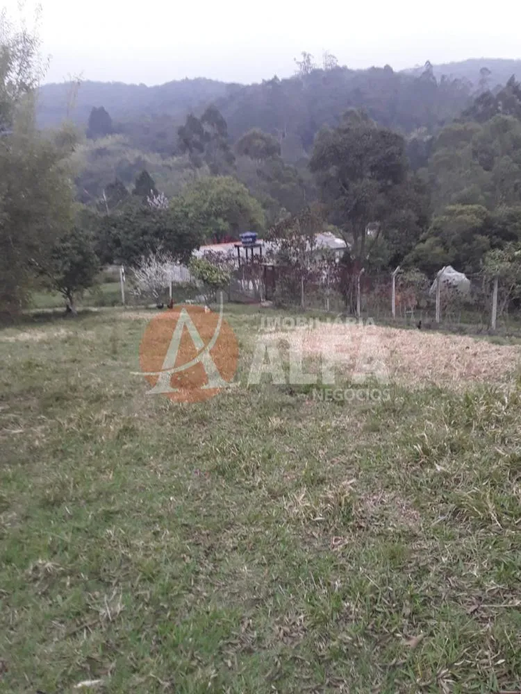 Chácara, 2 quartos, 1500 m² - Foto 10