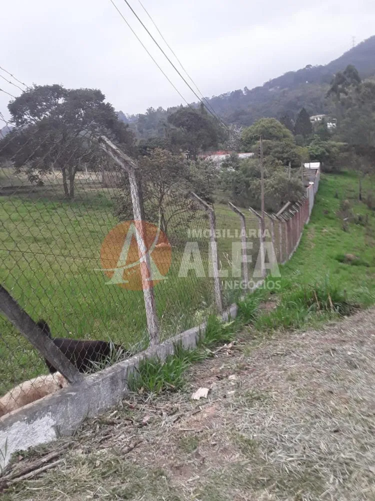 Chácara, 2 quartos, 1500 m² - Foto 6