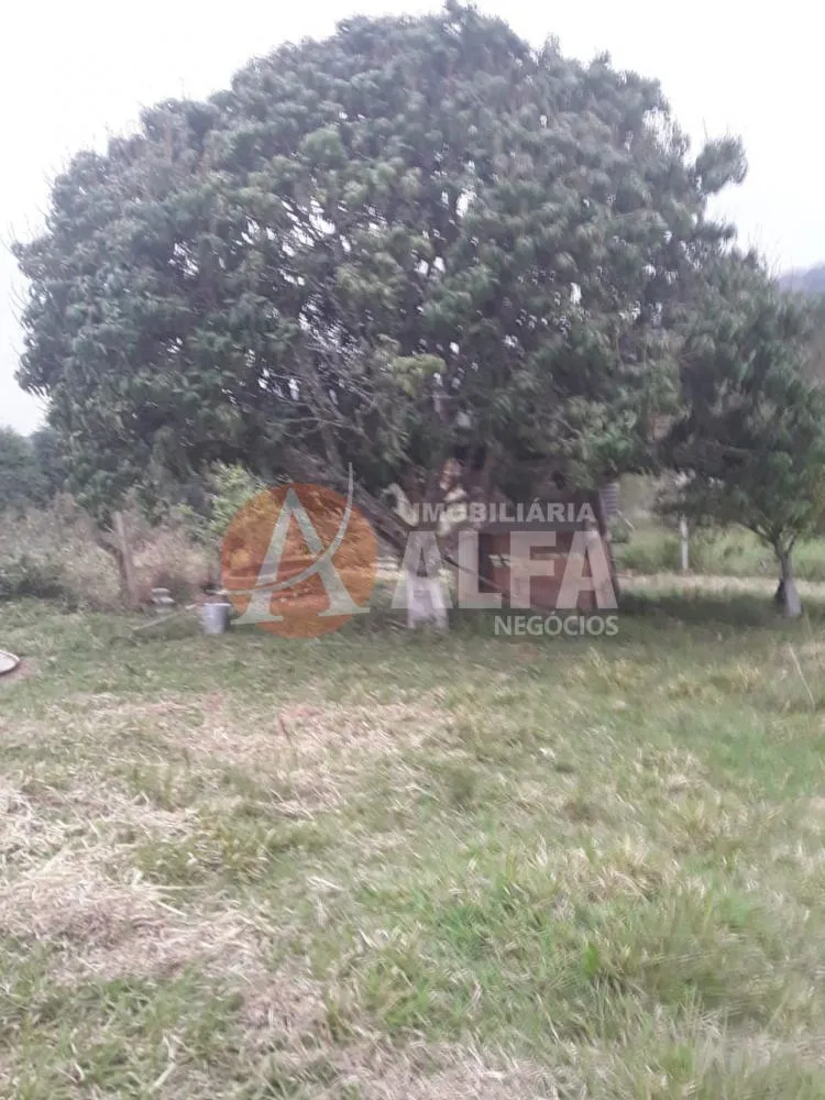 Chácara, 2 quartos, 1500 m² - Foto 7