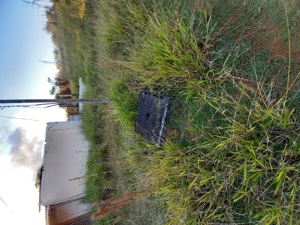 Terreno, 3080 m² - Foto 1