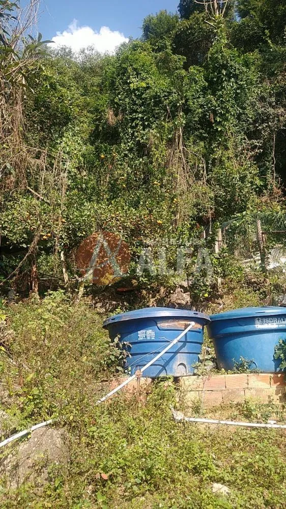 Casa, 5 quartos, 220 m² - Foto 12