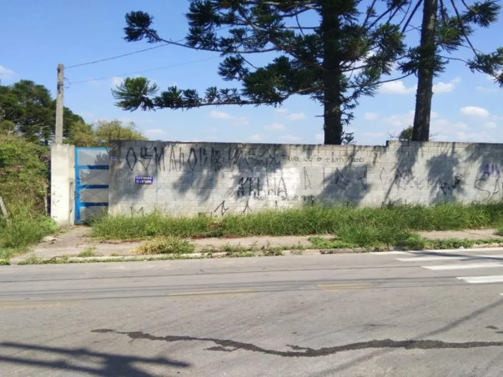 Terreno, 6 hectares - Foto 4