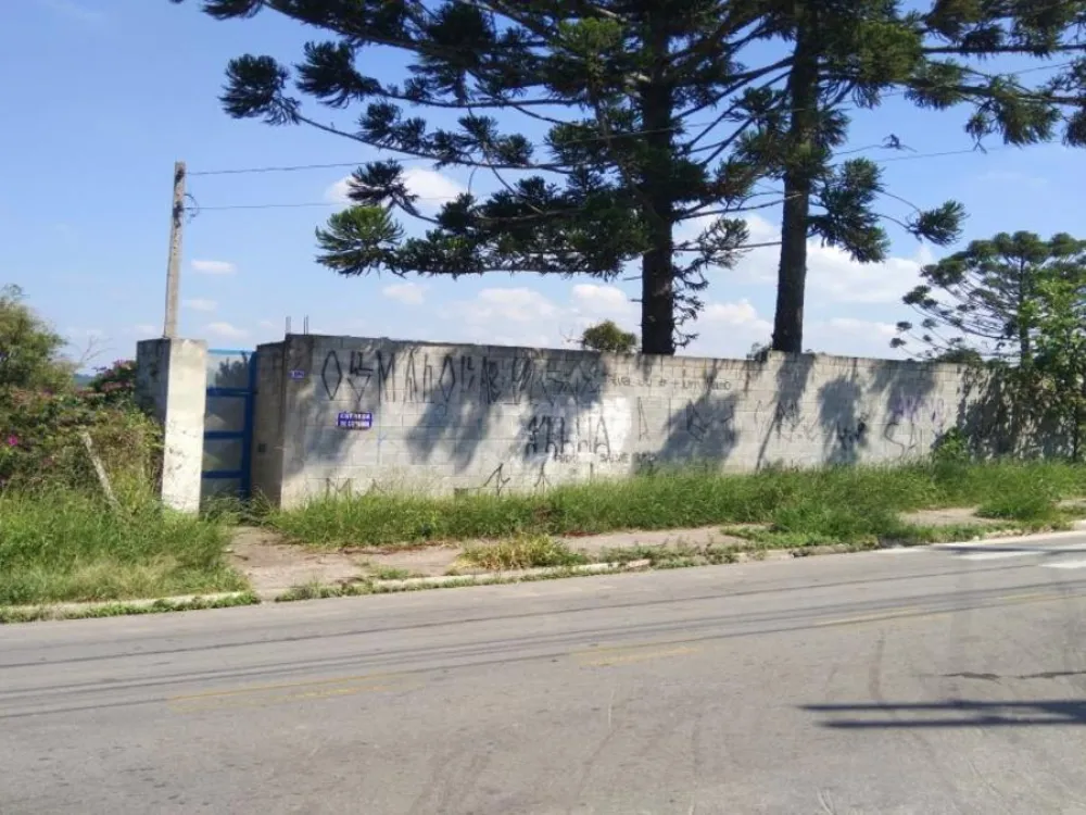 Terreno, 6 hectares - Foto 7