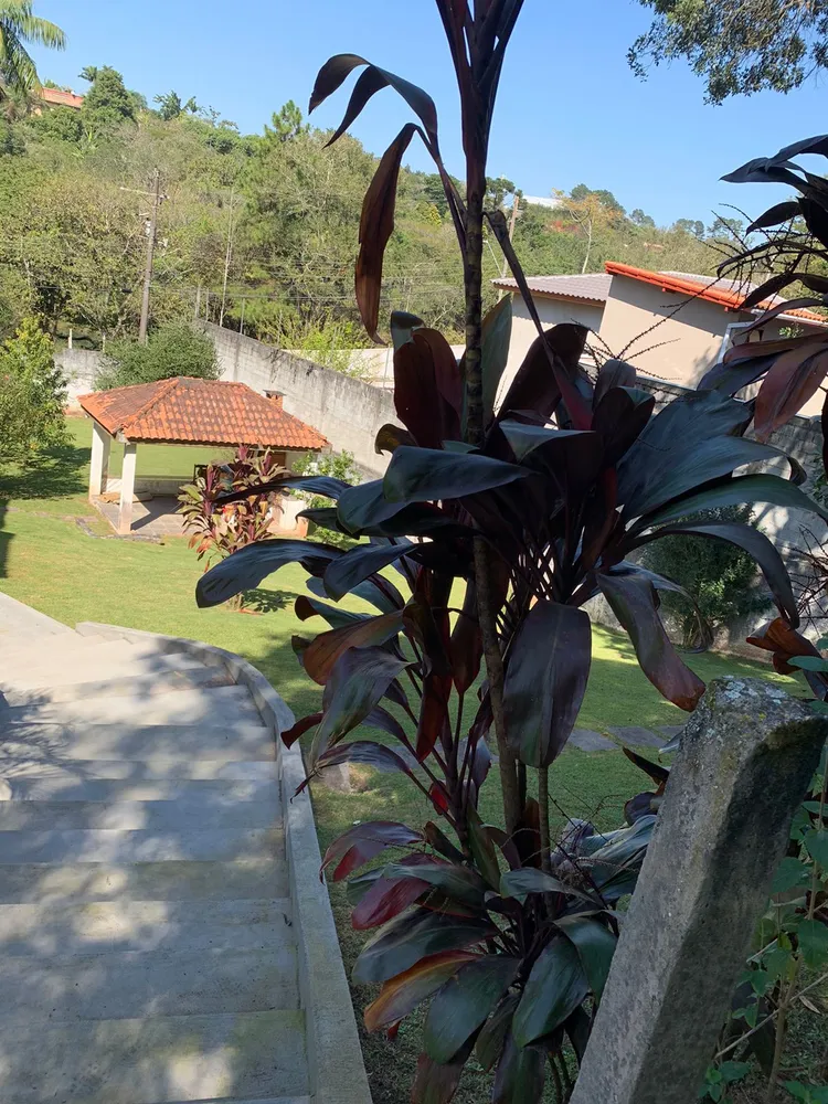 Terreno, 617 m² - Foto 5