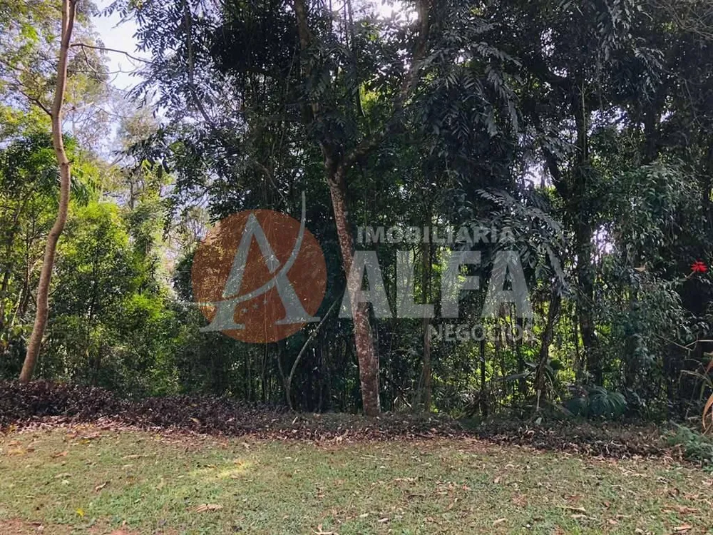 Terreno, 381 m² - Foto 4