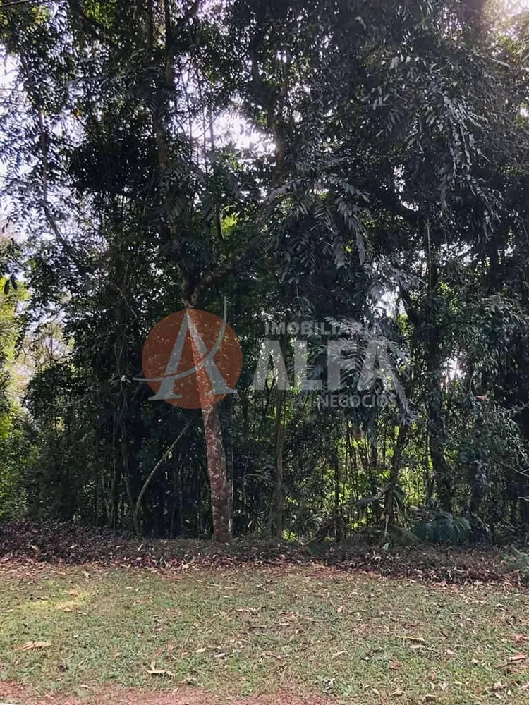 Terreno, 381 m² - Foto 5